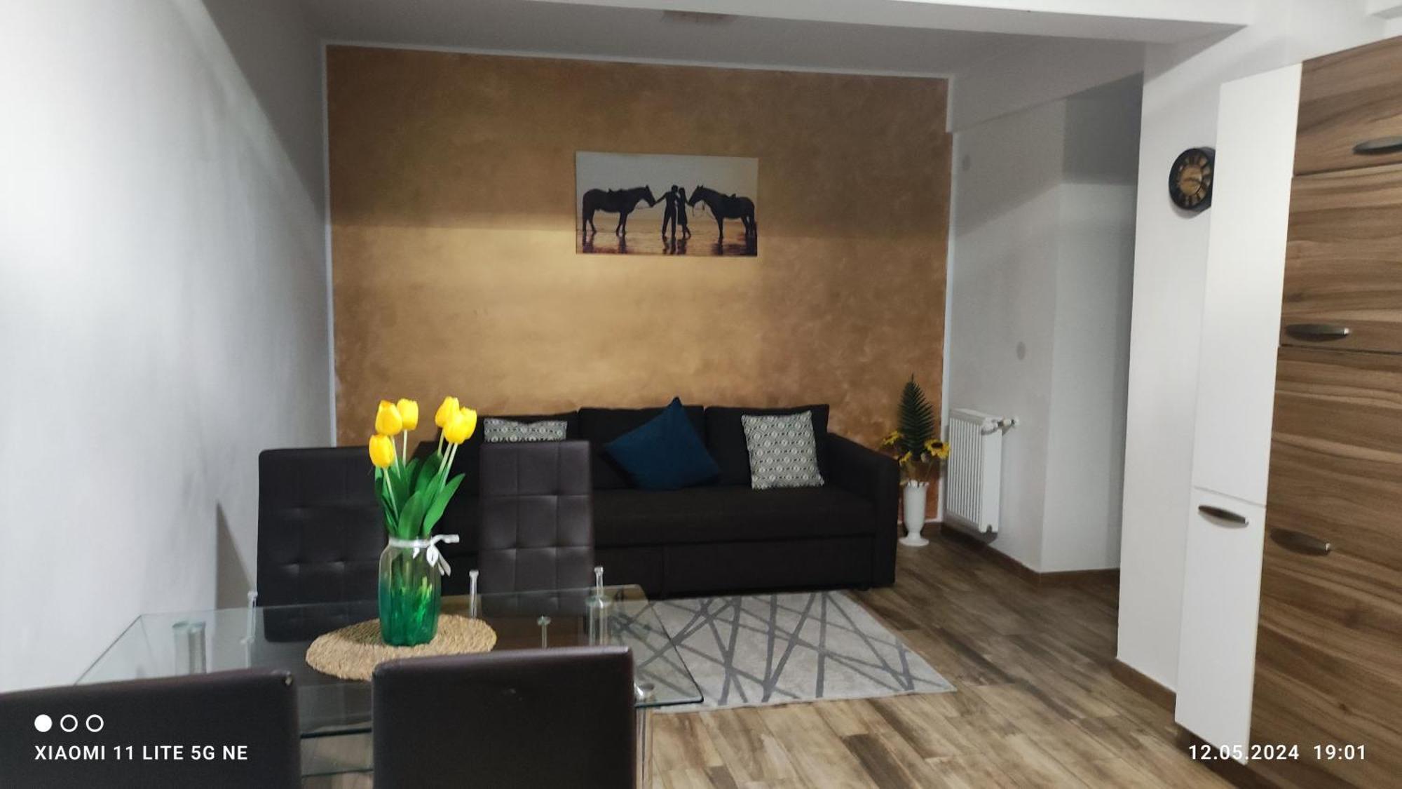 Apartament Lenus'K Διαμέρισμα Βουκουρέστι Εξωτερικό φωτογραφία